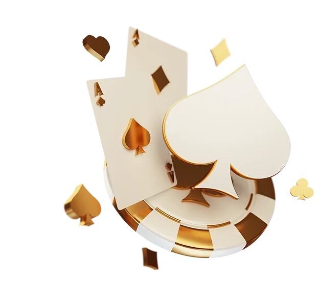 imgi cat pp